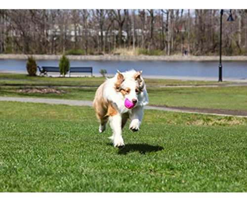 Hartz Duraplay Ball Squeaky Latex Dog Toy, Medium, 3 Pack