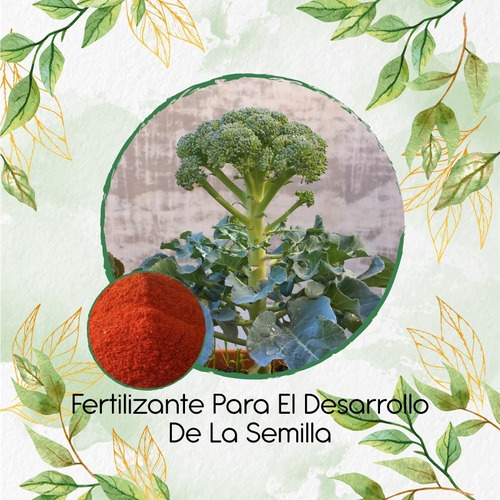 Fertilizante Para El Desarrollo De Brócoli De Cicco
