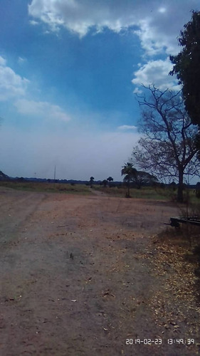 Imagen 3 de 8 de Finca En El Pao, El Baúl, Cojedes, De Oportunidad