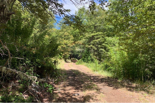 Parcelas Bosques De Palguin - Pucón