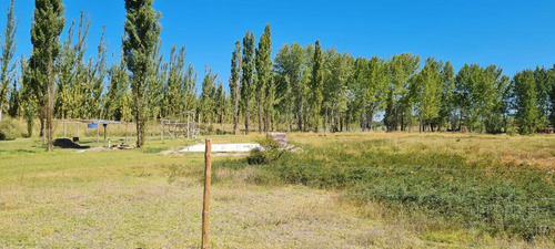 Imagen 2 de 4 de Venta - Terreno Hectáreas Chacra - China Muerta Feria El Mangrullo, Neuquén