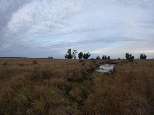 Imagen 3 de 8 de Campo Agrícola De 16 Hás A 60min De Montevideo En Tala (canelones)