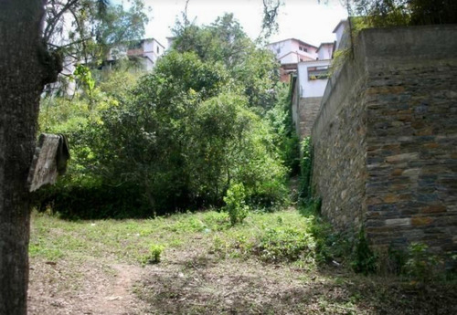 Imagen 1 de 6 de Vendo Terreno Sector El Corralito Carrizal