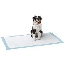 Comprar Tapetes Sanitarios Urinario De Perros Y Cachorros 5 Capas