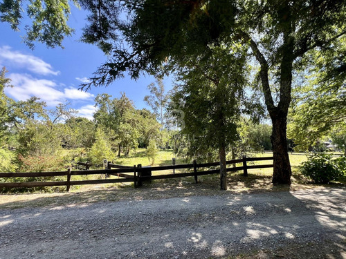 Sitio Lago Riñihue, Sector El Desagüe