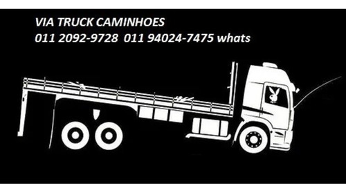 Ford Cargo 1317 Toco Bau
