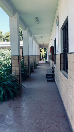 Imagen 18 de 22 de Excelente Edificio, Ideal Colegio, Universidad O Similar. Excelente Ubicacion Centrica Dentro Del Radio Urbano De Bella Vista, Con Buen Acceso Con Todos Los Medios De Transporte