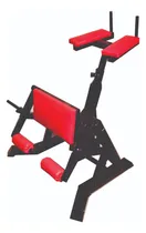 Comprar Máquina Isquiotibiales Lp-project Para Fitness Y Aerobics Negro