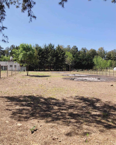 Excelente Lote En Las Casuarinas Luján - 1200m2