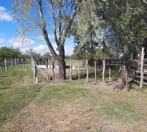 Imagen 7 de 29 de Oportunidad Campo Ganadero En Federal Entre Ríos
