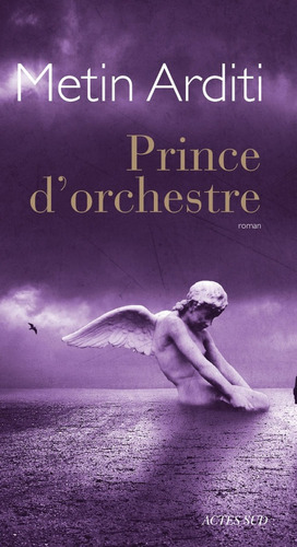 Prince D'orchestre - Metin Arditi