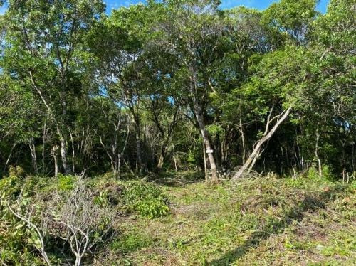 Imagem 5 de 6 de Terreno Na Praia Com 280 M². Itanhaém-sp | 7696-pc