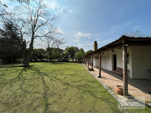 Imagen 11 de 29 de Campo - General Mansilla