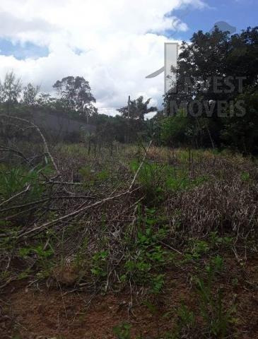 Imagem 3 de 8 de Cod 4309 - Lindo Lote Em Loteamento Fechado Com Pomar!! - 4309