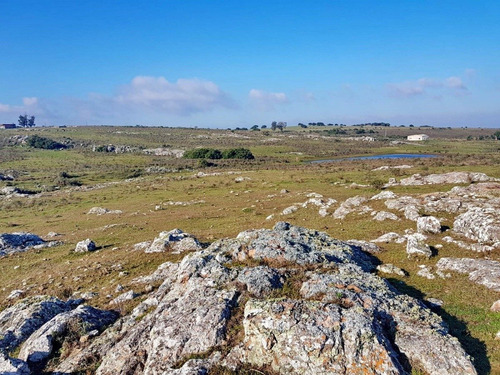 Venta De Chacra 5 Has En Ruta 9, Cerca De Pan De Azucar, Maldonado.- Ref: 19213