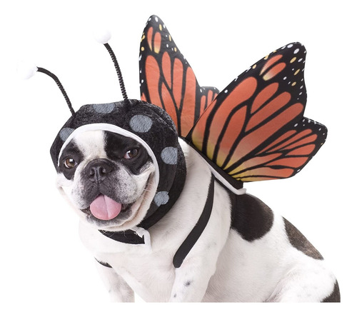 Disfraz De Perro De Mariposa Para Mascota De California Cost