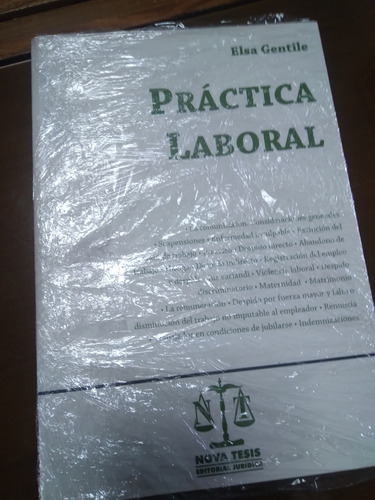 Practica Laboral. Elsa Gentile. Editorial Nova Tesis. Nuevo.