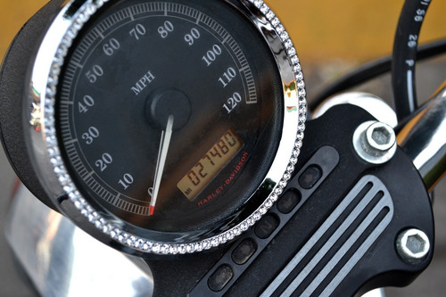 Imagen 9 de 15 de Impecable Harley Davidson Sportster Xl 883 Para Exigentes