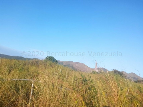 Imagen 6 de 13 de Leida Falcon Rentahouse Vende Terreno En Castillito San Diego 22-6724 Lf