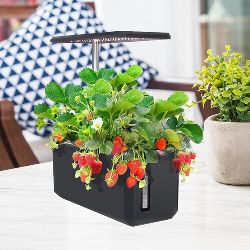 De De Plantas, Accesorios Multifunción Para , Kit De