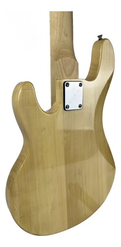 Contrabaixo Waldman Mb105 Nt Kit 02 Palhetas