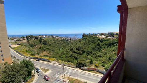 Arriendo Borinquen Viña Alto (81992)