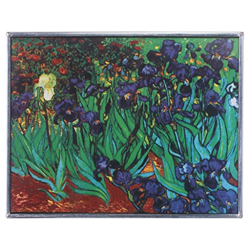 Panel De Vidrio De Color  Iris De Van Gogh , Colgante D...