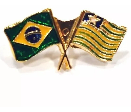 Pim Bótom Broche Bandeira Do Estado Do Piauí Folheado A Ouro