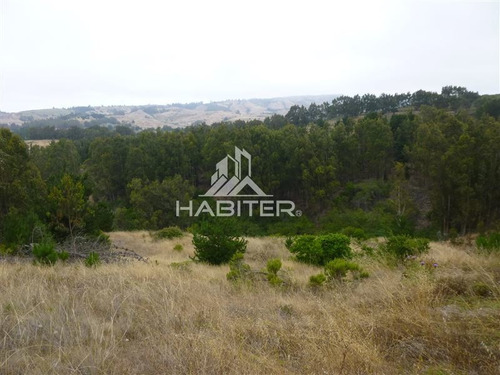 Imagen 18 de 22 de Agrícola En Venta En Navidad