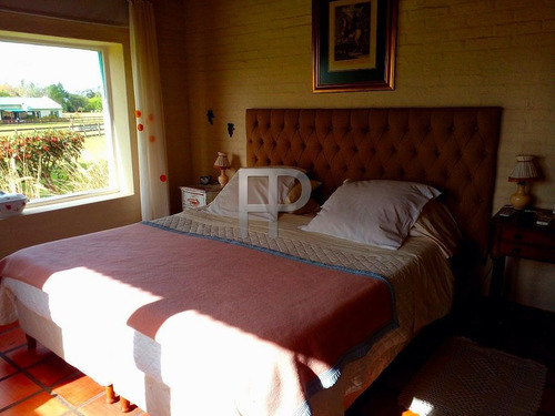 Imagen 13 de 13 de Chacra En Venta Punta Ballena 3 Dorm, 10 Has #1824