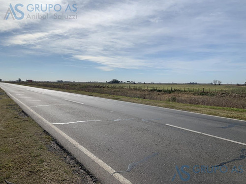 Excelente Campo Agricola De 62,73 Has.