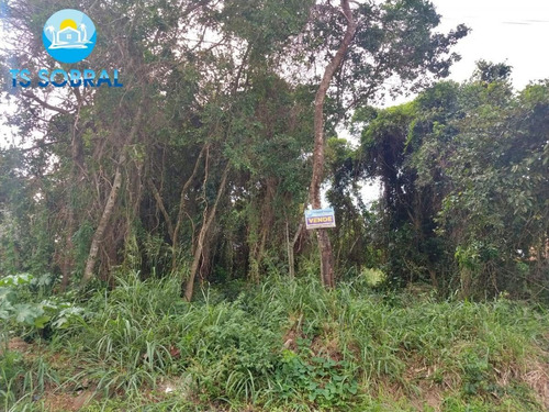 Imagem 12 de 15 de Terreno Em Praia Para Venda Em Saquarema, Jaconé - 505_1-1998287