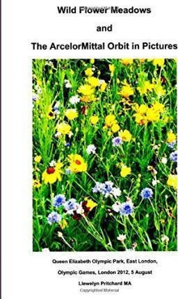 Wild Flower Meadows And The Arcelormittal Orbit In Pictur...