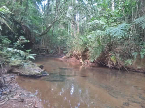 Imagem 1 de 30 de Excelente Terreno Á Venda De 16.500m2 Em Condomínio Rural Clube Juca Vieira C/ Área De 16.500 M², C/ Córrego De Água Cristalina Nos Fundos! - Oci0101 - 69485109