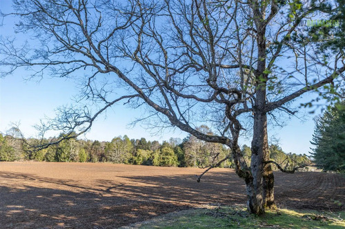 Agrícola En Venta En Fresia