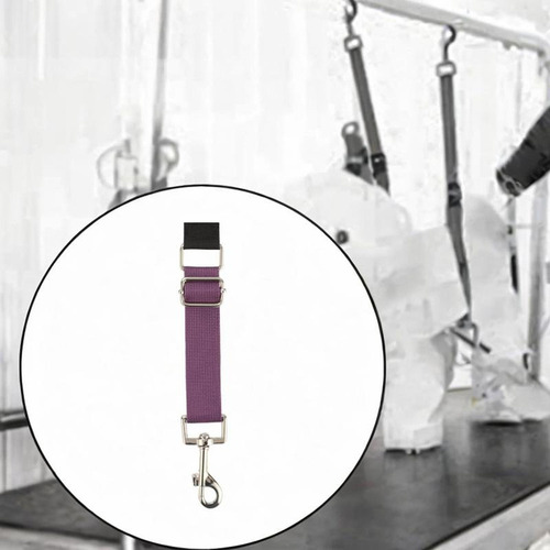 Hjq Extensão De Extensão Do Braço Do Braço De Animais Roxo