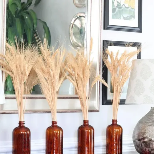 Gtidea Espigas De Trigo Natural Secas, Decoración De.