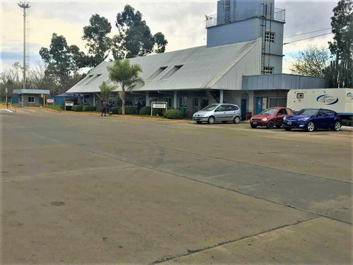 Imagen 19 de 24 de Nave Industriales Disponible De 3.445m2 Sin Expensas