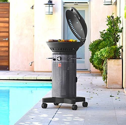 Fuego F21c-h Element - Parrilla De Gas Propano Con Bisagras,