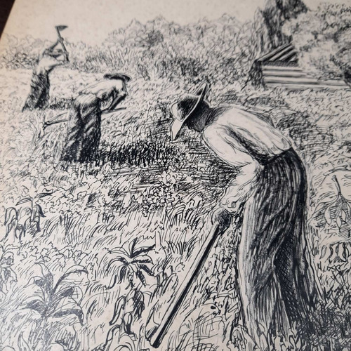 Imagem 3 de 8 de Pintura Desenho Bico De Pena Nanquim Antigo Sem Moldura