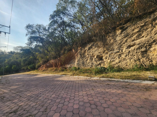 Venta Lote Gladiola 26 En Calle Privada Con Bonitas Vistas, Proyecto Incluído Y Con Todos Los Servicios En Fraccionamiento Rancho San Diego Ixtapan De La Sal Edomex