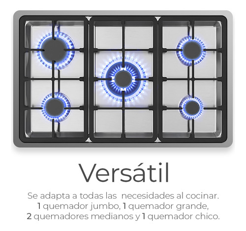 Estufa De Mesa 5 Quemadores Parrilla De Gas Acero Inoxidable