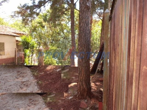 Imagem 8 de 17 de Área À Venda Em Parque Rural Fazenda Santa Cândida - Ar259541