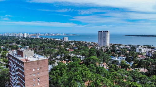Imagen 26 de 30 de Venta Apartamento 2 Dormitorios Con Vista A La Playa Mansa, Punta Del Este