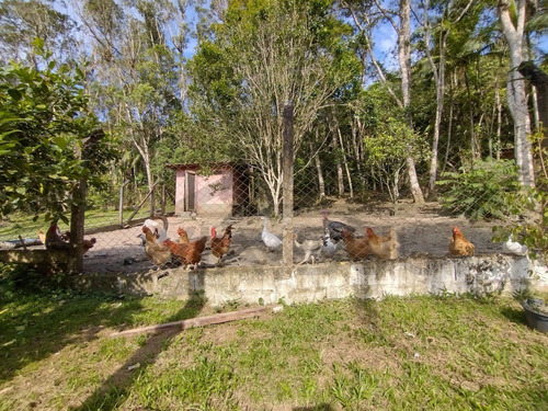 Imagem 27 de 30 de Esta Belíssima Chácara De 7.000 M², Rica Em Água E Envolta Por Mata Nativa Está Localizada Em Juquitiba/sp, A Poucos Minutos Do Rodoanel Mario Covas. - 142 - 70274662