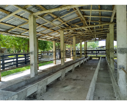 Rancho Ganadero En Venta, Propiedad Privada, 453 Has, Con Cenotes