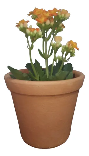 Vaso De Barro Cerâmica 12x11cm P/ Jardim Flores (kit C/ 5un) Liso