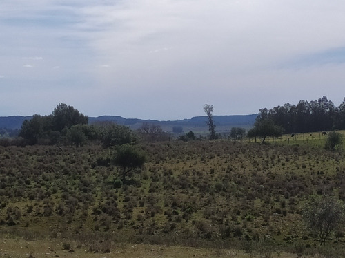 Chacras En Minas !!!!
