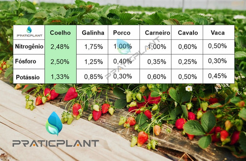 Adubo Orgânico De Coelho Premium 500g