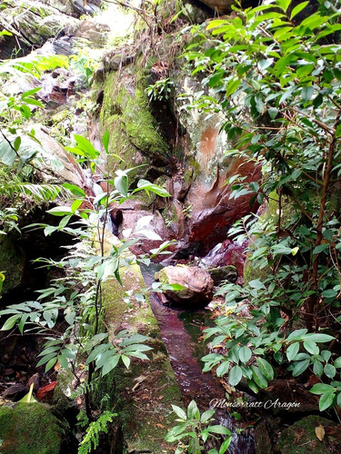 Increíble Terreno Con Manantial